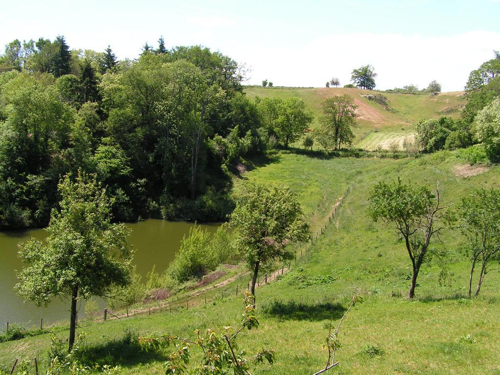 Gite De Carbonies Saint-Félix-de-Lunel Exteriér fotografie