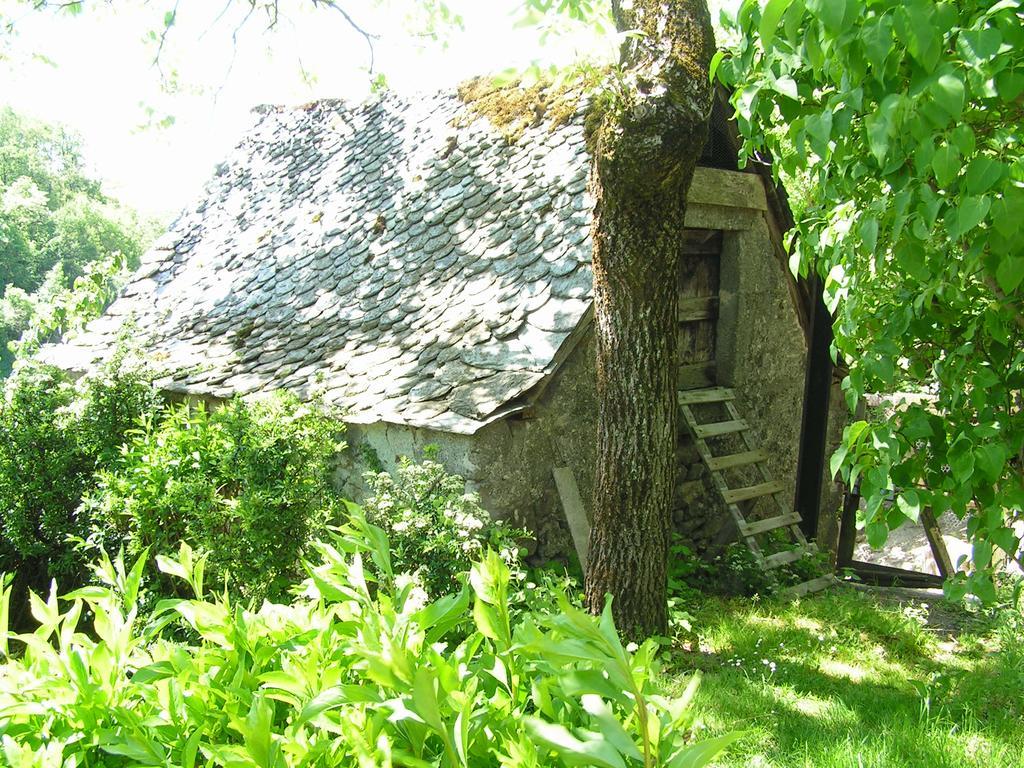 Gite De Carbonies Saint-Félix-de-Lunel Exteriér fotografie